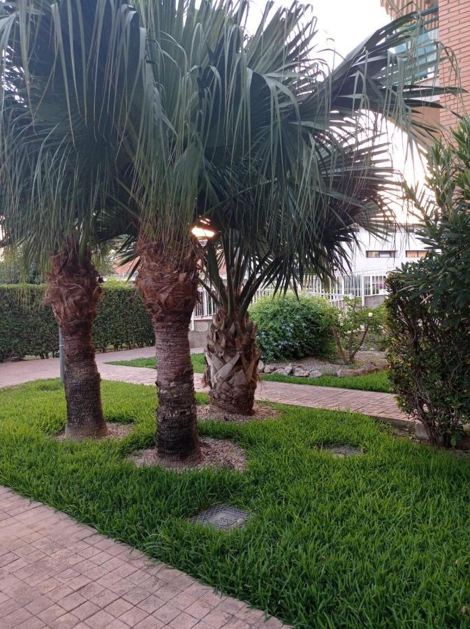 Apartamento Pilar Solo Familias Gandia Ngoại thất bức ảnh